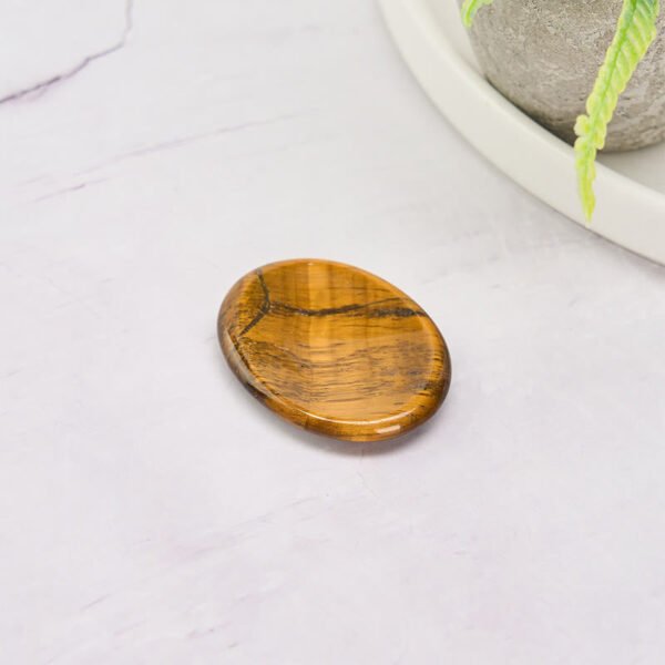 Steady Focus, Worn Daily. Tiger's Eye and Crystal Palm Stone – view 5
